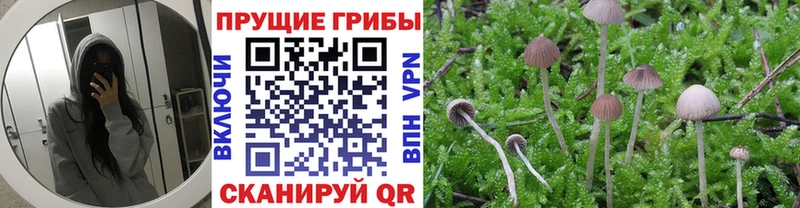 Псилоцибиновые грибы мухоморы  Купить закладки  Урюпинск 